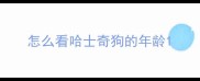 怎么看哈士奇狗的年龄