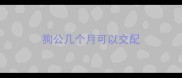 狗公几个月可以交配