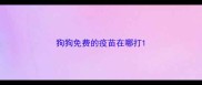 狗狗免费的疫苗在哪打