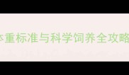 边境牧羊犬新生儿体重标准与科学饲养全攻略附成长曲线图