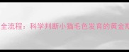 幼猫毛色变化全流程科学判断小猫毛色发育的黄金期与关键特征