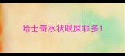 哈士奇水状眼屎非多