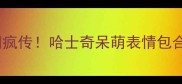 全网疯传哈士奇呆萌表情包合集