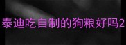 泰迪吃自制的狗粮好吗