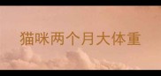 猫咪两个月大体重