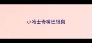 小哈士奇嘴巴很臭