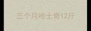 三个月哈士奇12斤