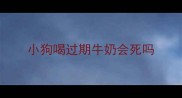小狗喝过期牛奶会死吗