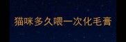 猫咪多久喂一次化毛膏