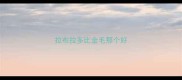 拉布拉多比金毛那个好