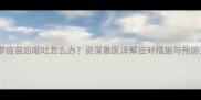 卡斯罗疫苗后呕吐怎么办资深兽医详解应对措施与预防方案