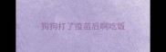 狗狗打了疫苗后啊吃饭