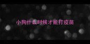 小狗什么时候才能打疫苗