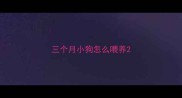 三个月小狗怎么喂养