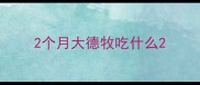 2个月大德牧吃什么