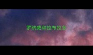 罗纳威和拉布拉多