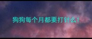 狗狗每个月都要打针么