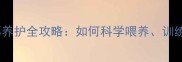 六七个月萨摩耶养护全攻略如何科学喂养训练与健康管理