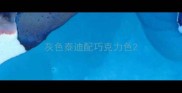 灰色泰迪配巧克力色