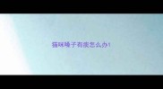 猫咪嗓子有痰怎么办