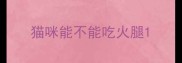 猫咪能不能吃火腿