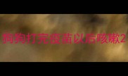 狗狗打完疫苗以后咳嗽