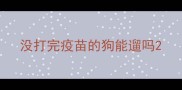 没打完疫苗的狗能遛吗