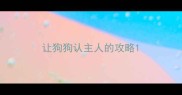 让狗狗认主人的攻略