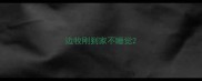 边牧刚到家不睡觉