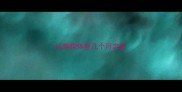 比熊狗体型几个月定型