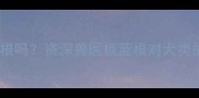 狗狗可以吃板蓝根吗资深兽医板蓝根对犬类的科学使用指南