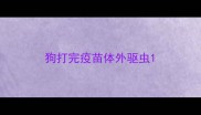 狗打完疫苗体外驱虫