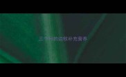 三个月的边牧补充营养