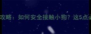 孕妇养狗全攻略如何安全接触小狗这5点必须知道