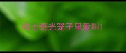 哈士奇光笼子里爱叫