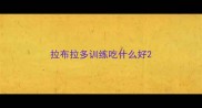 拉布拉多训练吃什么好
