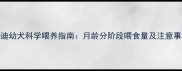 泰迪幼犬科学喂养指南月龄分阶段喂食量及注意事项