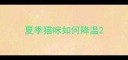 夏季猫咪如何降温