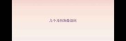 几个月的狗最能吃