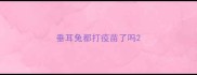 垂耳兔都打疫苗了吗