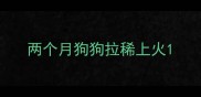两个月狗狗拉稀上火