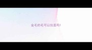 金毛的毛可以拉直吗