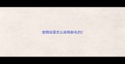 宠物店是怎么给狗剃毛的