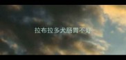 拉布拉多犬肠胃不好