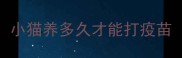 小猫养多久才能打疫苗