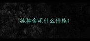 纯种金毛什么价格