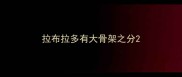 拉布拉多有大骨架之分