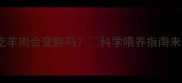 边牧吃羊肉会变胖吗科学喂养指南来了