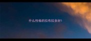 什么性格的拉布拉多好