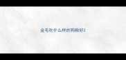 金毛吃什么样的狗粮好